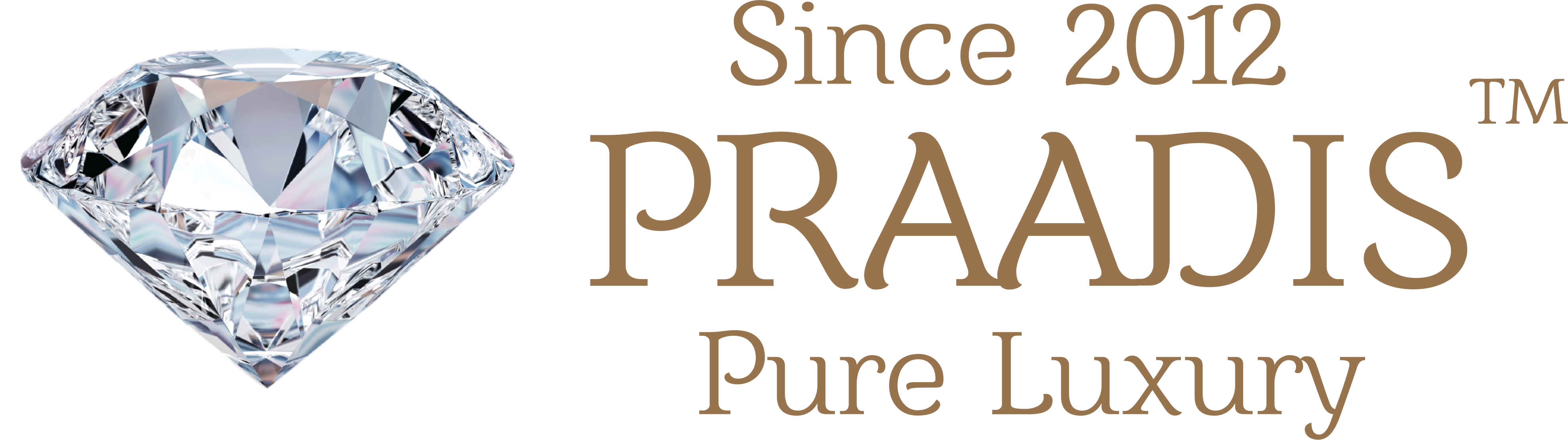 Praadis logo